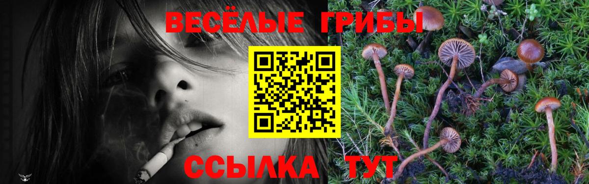 Галлюциногенные грибы Cubensis Советск